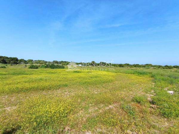 Terreno en El Altet - Balsares