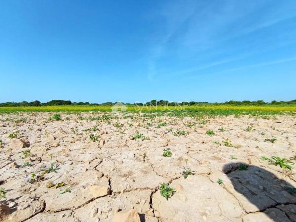 Terreno en El Altet - Balsares