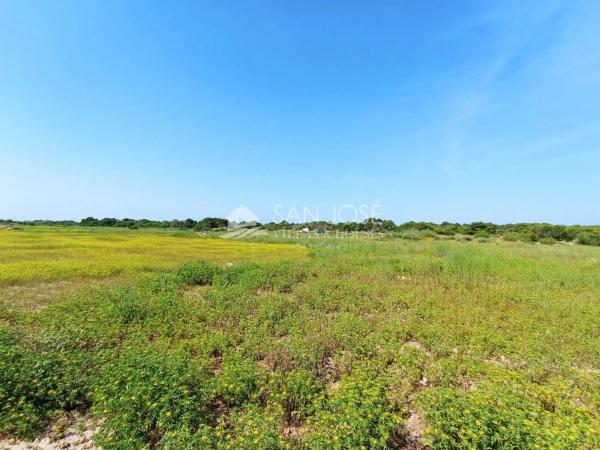 Terreno en El Altet - Balsares