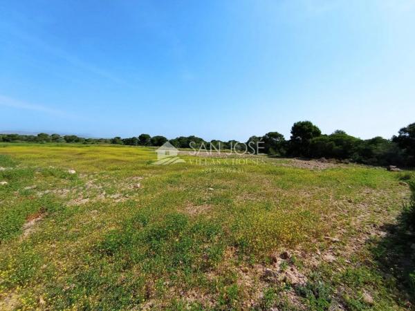 Terreno en El Altet - Balsares
