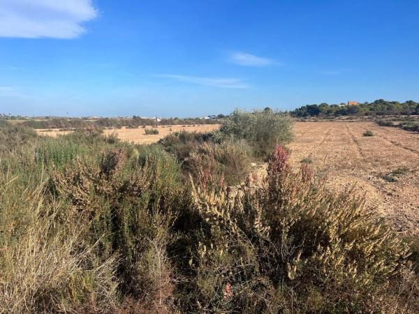 Terreno en El altet s/n