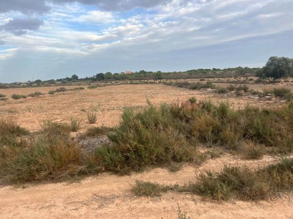 Terreno en El altet s/n