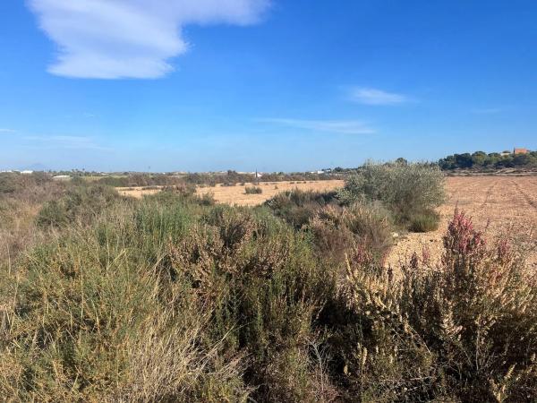 Terreno en El altet s/n