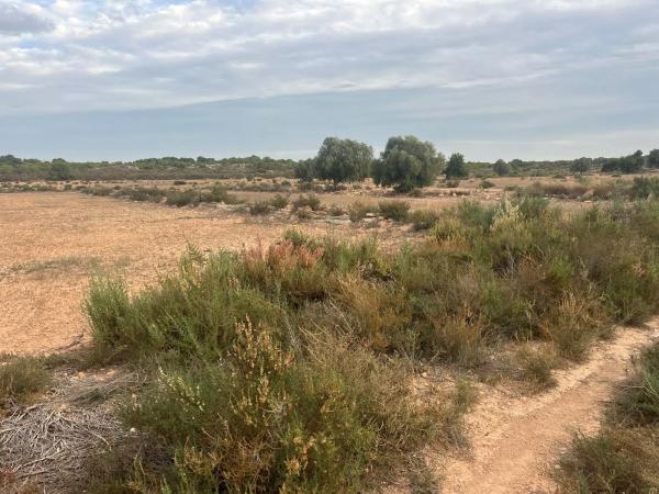 Terreno en El altet s/n