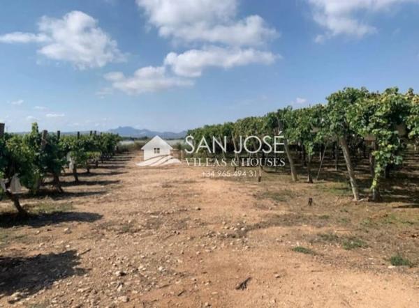 Terreno en Monforte del Cid