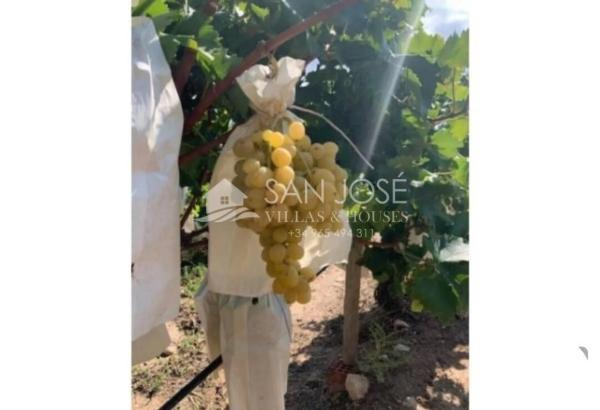 Terreno en Monforte del Cid