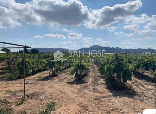 Terreno en Monforte del Cid