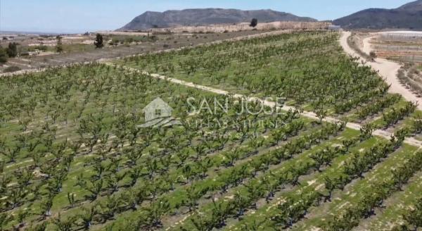 Terreno en Monforte del Cid
