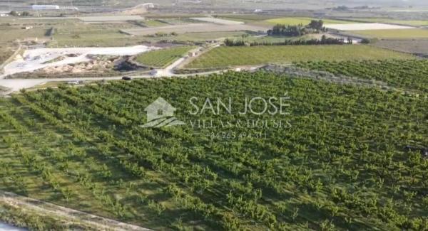 Terreno en Monforte del Cid