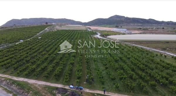 Terreno en Monforte del Cid