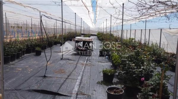 Terreno en Monforte del Cid