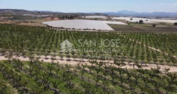 Terreno en Monforte del Cid