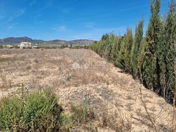 Terreno en Pinoso