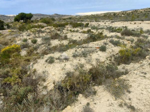 Terreno en Barrio El Castillo