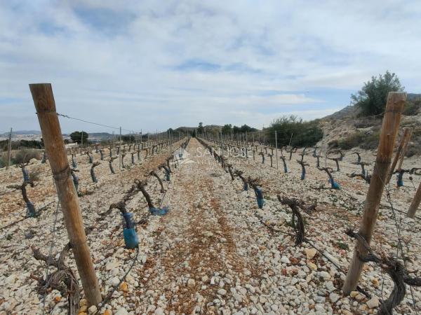 Terreno en Pedanías Oeste