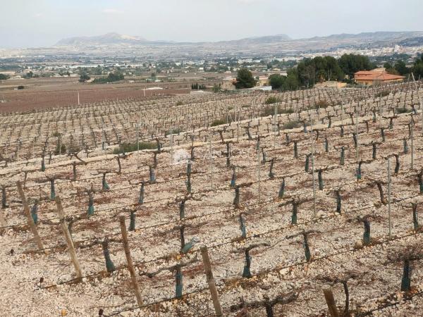 Terreno en Pedanías Oeste