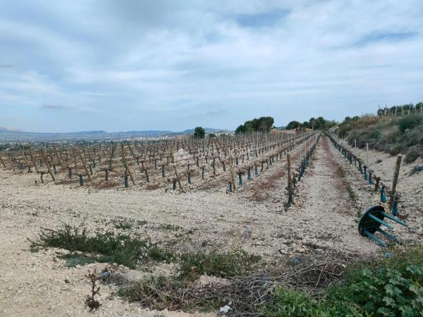 Terreno en Pedanías Oeste