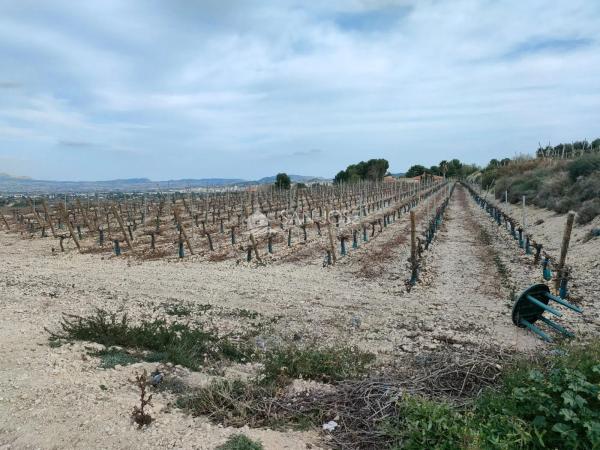 Terreno en Pedanías Oeste