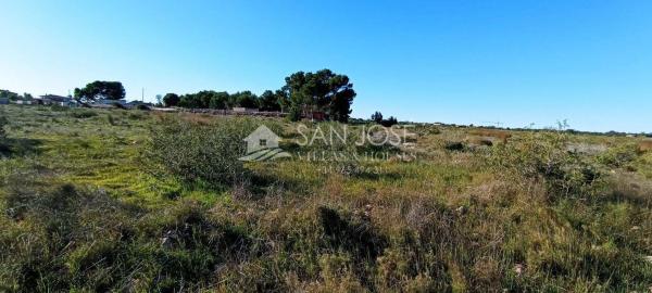 Terreno en El Altet - Balsares