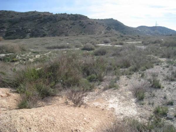 Terreno en Pedanías Este