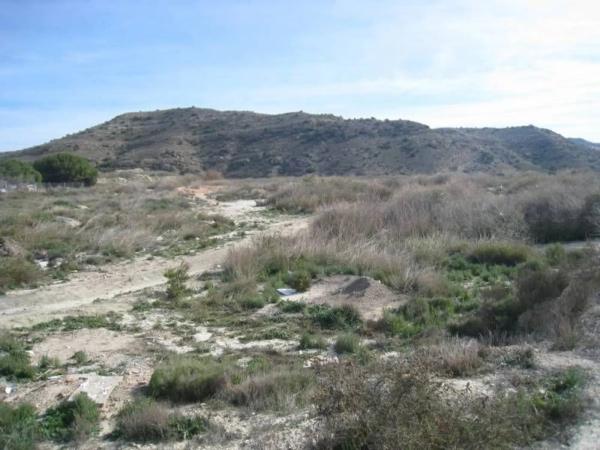 Terreno en Pedanías Este