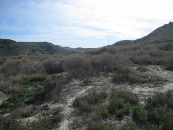 Terreno en Pedanías Este