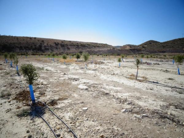 Terreno en Pedanías Este