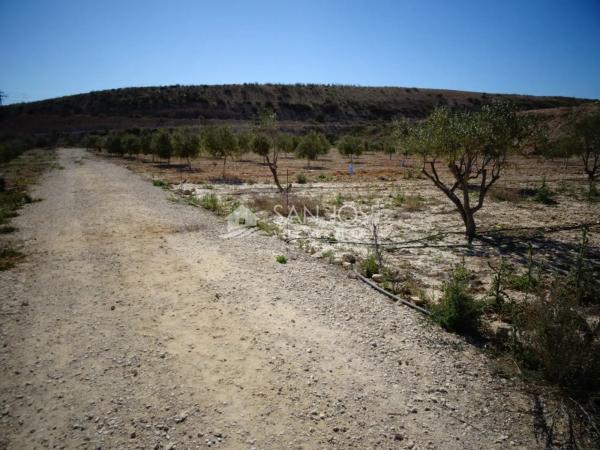 Terreno en Pedanías Este