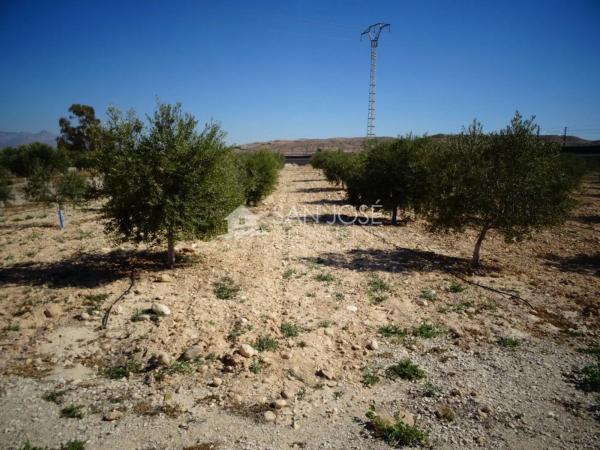 Terreno en Pedanías Este