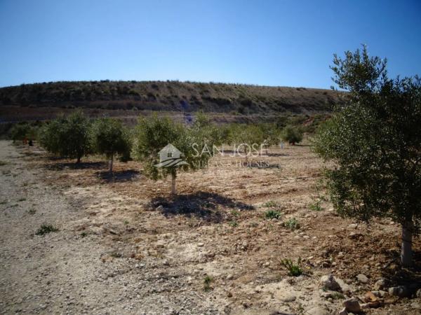 Terreno en Pedanías Este