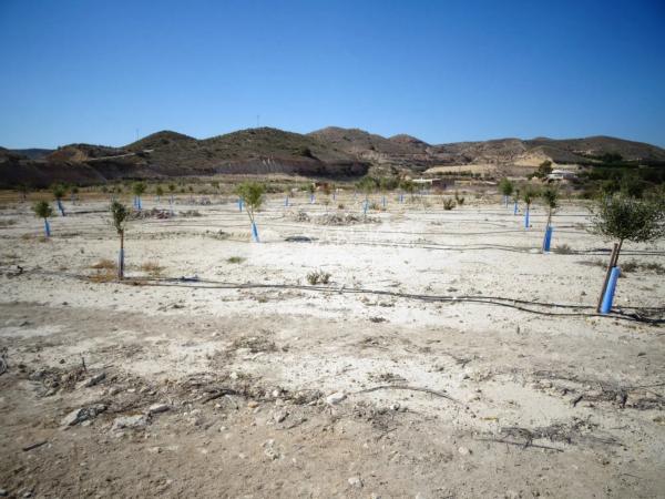 Terreno en Pedanías Este