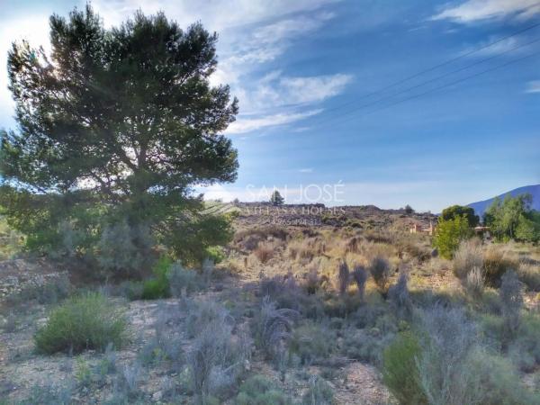 Terreno en Monforte del Cid