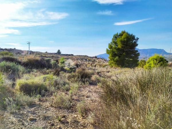 Terreno en Monforte del Cid