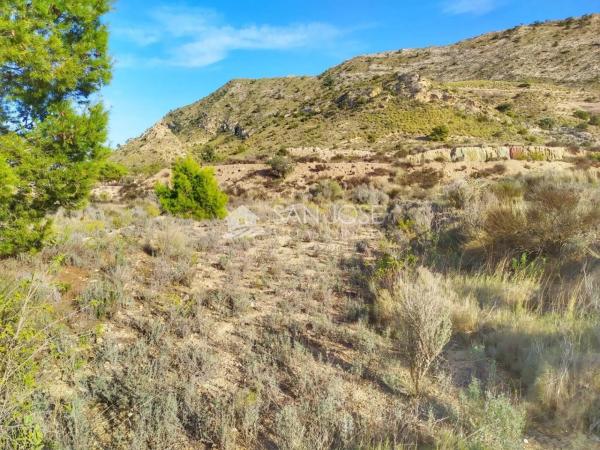 Terreno en Monforte del Cid