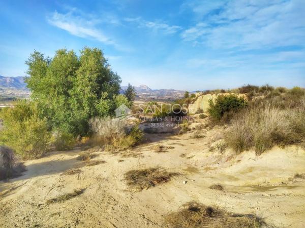 Terreno en Monforte del Cid
