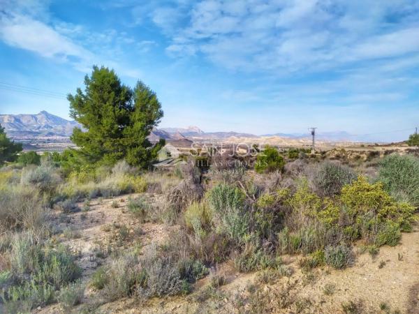 Terreno en Monforte del Cid