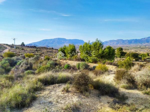 Terreno en Monforte del Cid