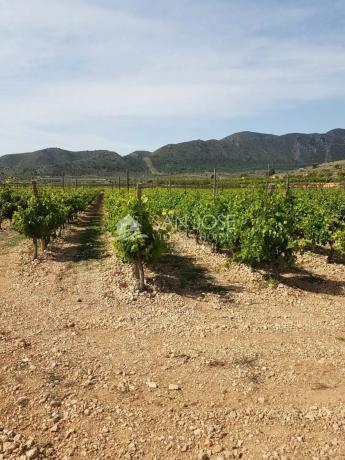 Terreno en La Romana