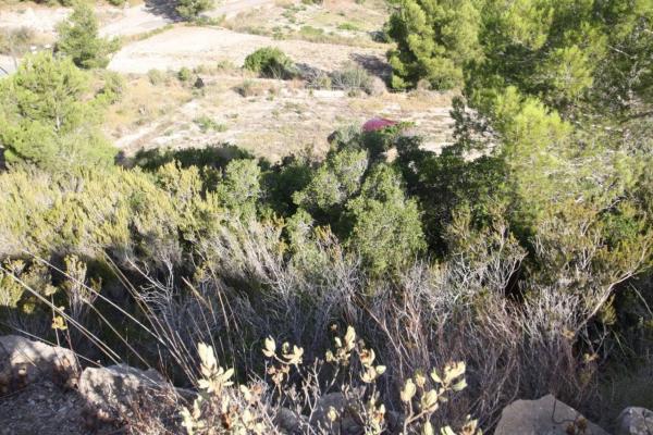 Terreno en Benissa pueblo