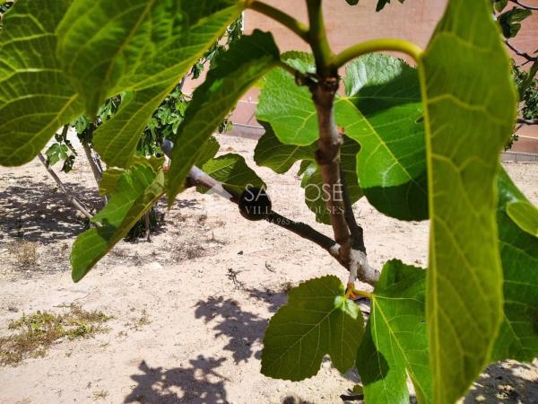 Terreno en El Altet - Balsares