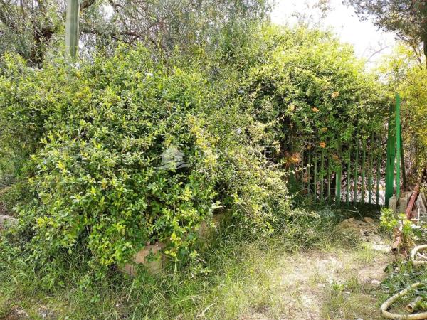 Terreno en El Altet - Balsares