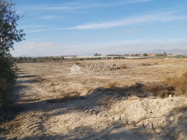 Terreno en Monforte del Cid