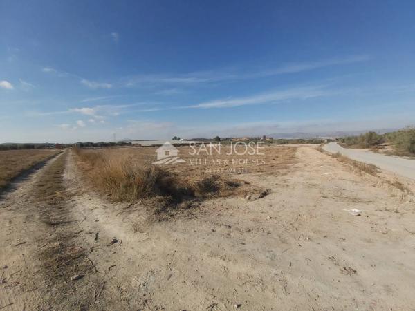 Terreno en Monforte del Cid