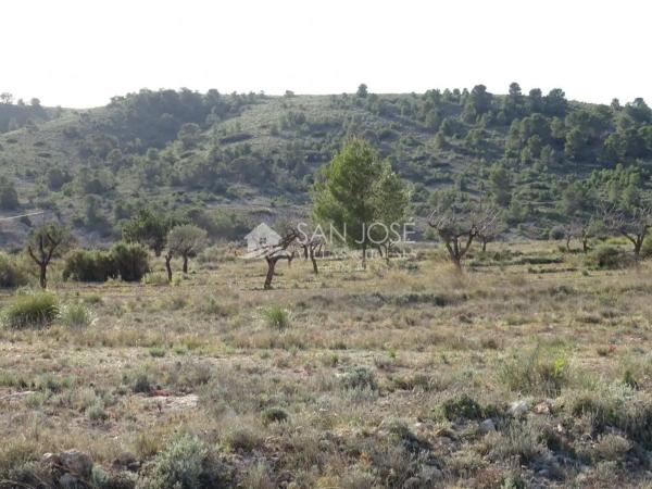 Terreno en Hondón de las Nieves