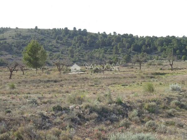 Terreno en Hondón de las Nieves