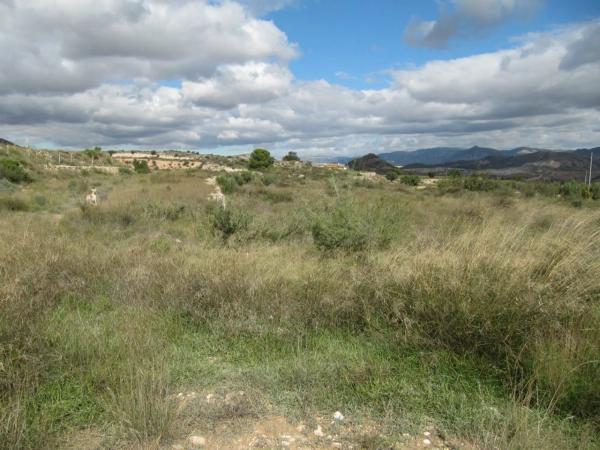 Terreno en Novelda