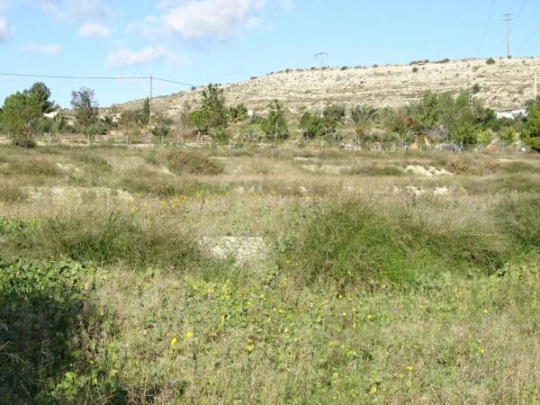 Terreno en Pedanías Oeste