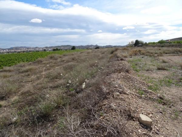 Terreno en Pedanías Oeste