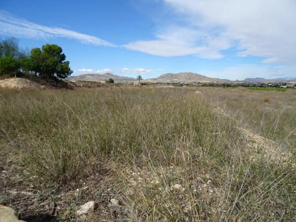 Terreno en Pedanías Oeste