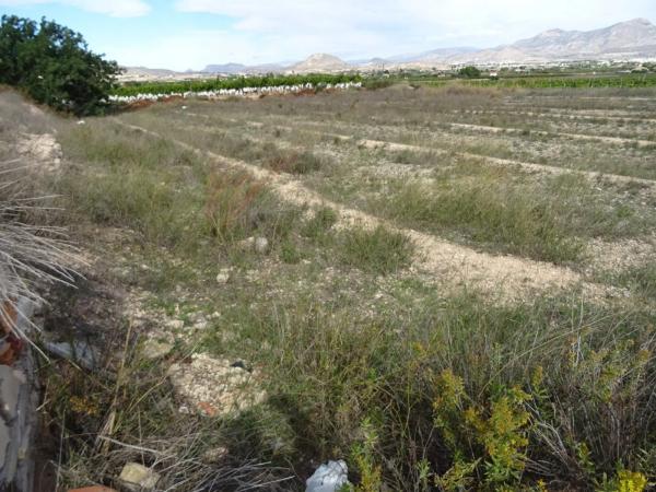 Terreno en Pedanías Oeste